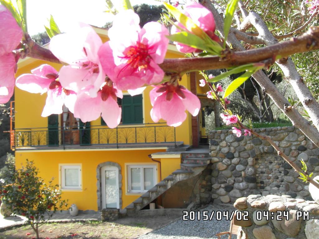 Agriturismo Costa Di Campo Vernazza Exterior foto